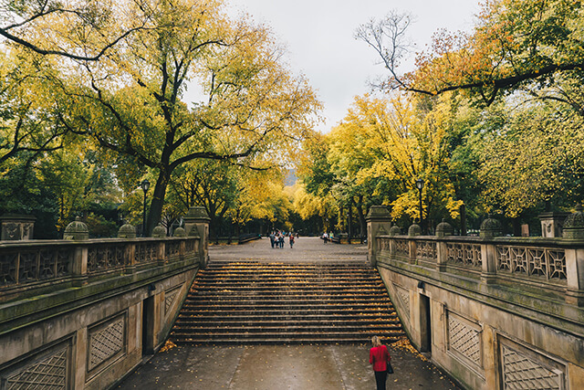 Steps in Central Park